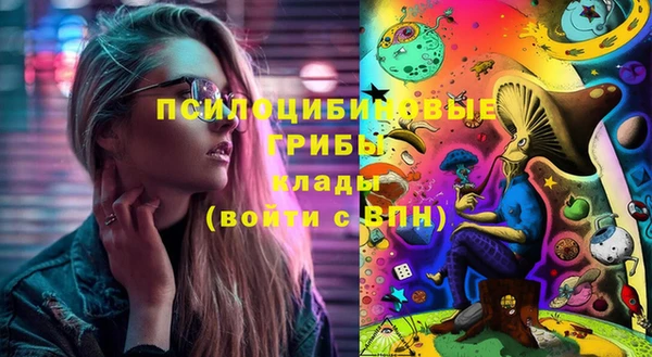 дмт Арсеньев