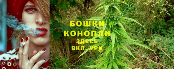 прущие крисы Аркадак