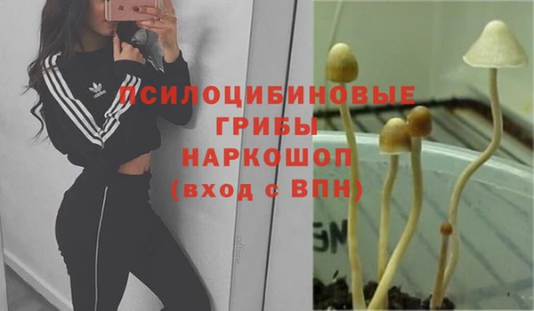 дмт Арсеньев