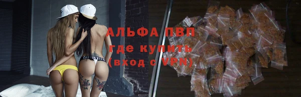 дмт Арсеньев