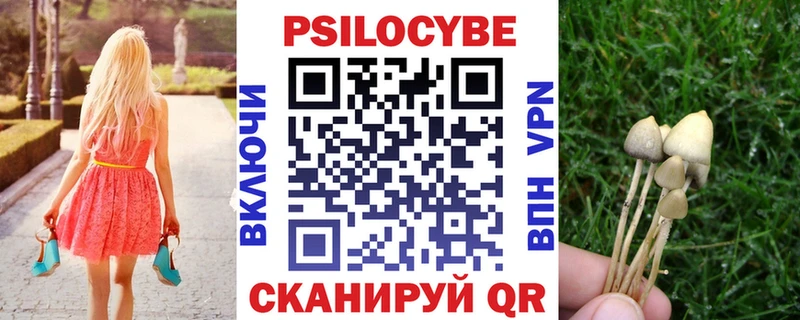 Галлюциногенные грибы Cubensis  кракен зеркало  Петровск 