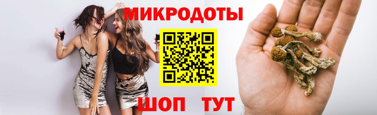 Псилоцибиновые грибы мухоморы Петровск